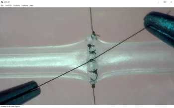 Sutura de microchirurgie simulare de formare de 1 mm/2mm vasele de sange de predare model ultrathin neurochirurgie chirurgie