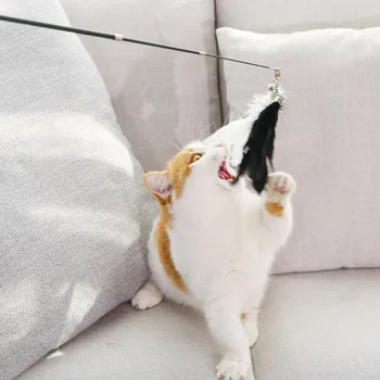 HOOPET Jucării Pisica Pisica Stick Pene Cu Clopot Mic Pisoi Amuzant Jucarii Interactive Stick Pisica animale de Companie Consumabile