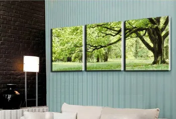 3 Panouri Fara rama imagini pe panza diy digitală, pictură în ulei de numere acasă decorare cadou unic vopsea ambarcațiuni Copaci Verzi