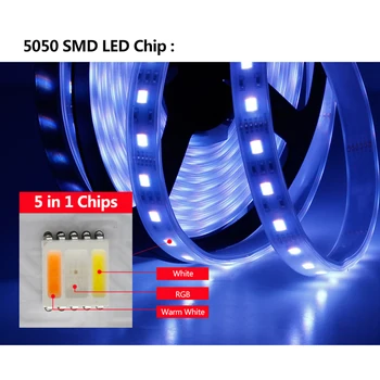 2020 Benzi cu LED-uri 12V DC 24V SMD 5050 RGBCCT rezistent la apa 5 In1 Chips-uri RGB+WW+CW 5M 300LED 60 Led-uri/m 5m/lot Lumina Benzi Flexibile