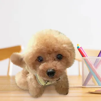 Animale De Desene Animate Calitate De Câine Jucării De Pluș Realist Teddy Câine Lucrate Manual, Realist Figura Jucărie De Câine De Pluș Umplute Anim Păpuși Jucării Copil