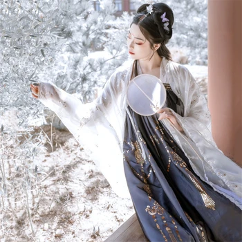 Hanfu Tradițională Chineză Costum De Zână Tang Costum Popular Femei Rochie De Folk Rochie Broderie Vechi De Anul Nou Haine Dans Halat