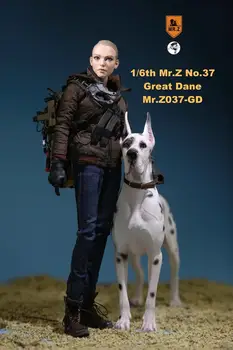 1/6 Scară Câine de Companie Model Domnul Z MRZ037 German Great Dane(6 culori) pentru 12 inch Acțiune Figura Accesorii Colecții