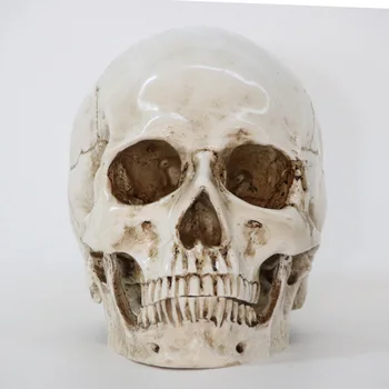 1/6 scară craniu de sculptură de acțiune figura accesorii terminator vechi scena de la fața locului