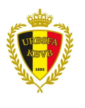 Toate părțile / diamante rotunde 5dDIY diamant pictura Belgia echipa de fotbal logo-ul broderie cusatura cruce marca decorațiuni cadouri