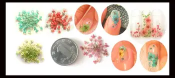 3D Nail Art de Flori Uscate 12 Culori/Pachet DIY Nail Art Sfaturi Diy Decorare Felii Caz Unghii Decoratiuni Noi Sosesc